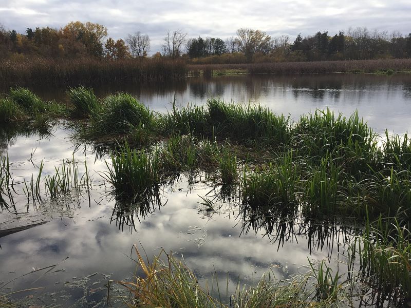 Turynský rybník - záplavy