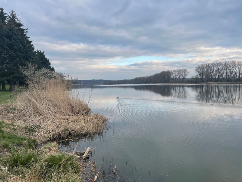 Turynský rybník - záplavy